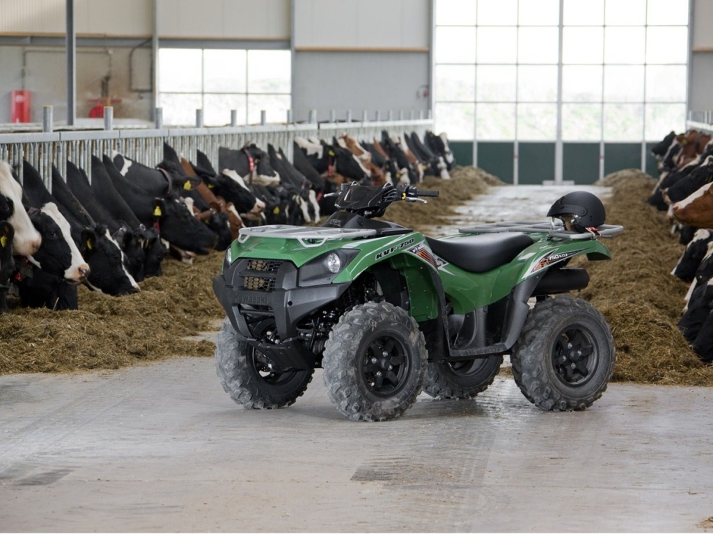 Фото квадроцикла Kawasaki KVF750 4x4 EPS